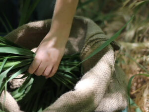 Rona Mayk's Weeds Thumbnail - Uri Berry אורי בארי
