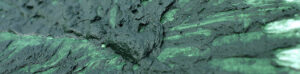 AlgaeCore Photo - Uri Berry אורי בארי